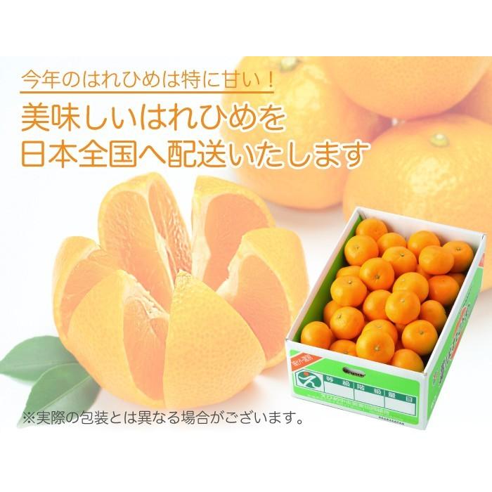 みかん はれひめ 訳あり 大きさおまかせ 2.5kg みきゃん箱入り 愛媛県