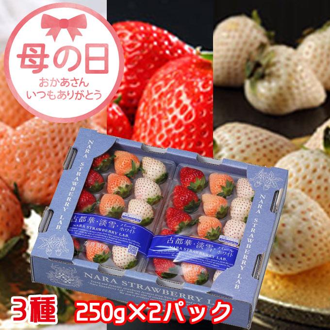遅れてごめんね 母の日 2026 いちご 奈良いちごラボ 3種 詰め合わせ