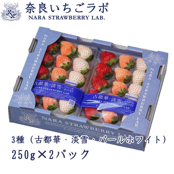 澄華※※ラト パシャこれ まとめ売り いちご N 60枚 遅れてごめんね 母の日 2026 いちご 奈良いちごラボ 3種 詰め合わせ