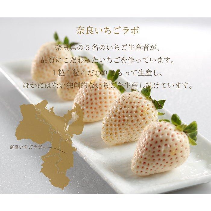 遅れてごめんね 母の日 2026 いちご 奈良いちごラボ 3種 詰め合わせ
