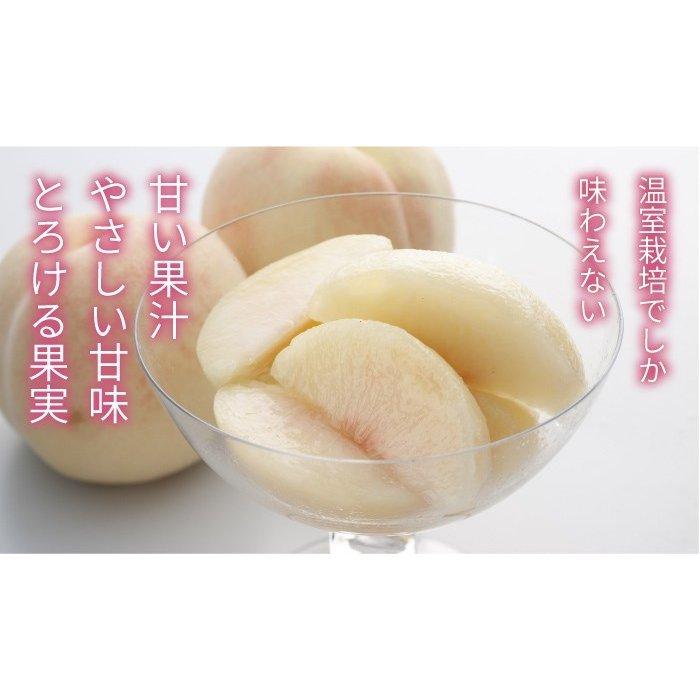 母の日 2026 温室桃 白桃 はくとう 赤秀 5玉〜10玉 1.3kg 岡山県産 ＪＡ勝英 もも ギフト プレゼントの画像