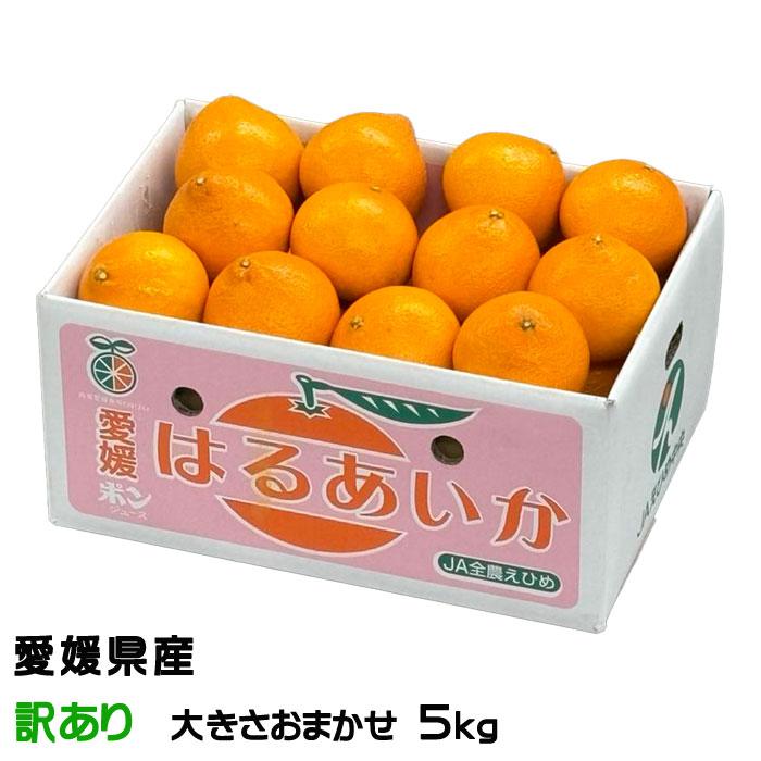 megucari...　訳あり甘平8kg+訳ありせとか8kgぐるりん 甘平【訳あり/愛媛みかん/木成り完熟/サイズ混合/3.5kg】 – 島のね農園