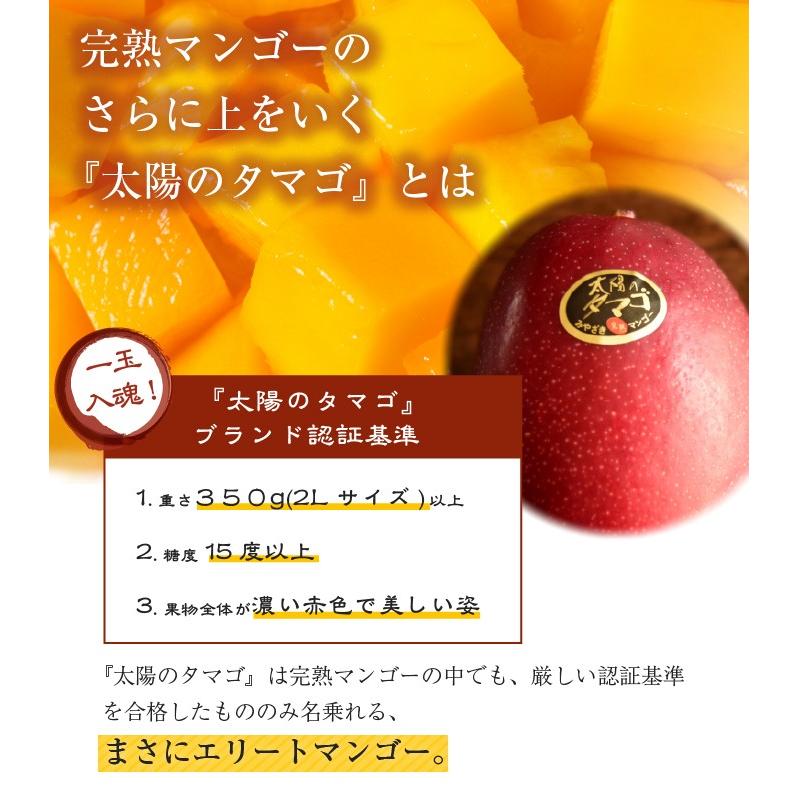 遅れてごめんね 母の日 2024 太陽のタマゴ 青秀 2L 350g以上×1玉 JA宮崎経済連 宮崎県産 完熟マンゴー 太陽のたまご ギフト プレゼント｜hachiya-fruits｜06