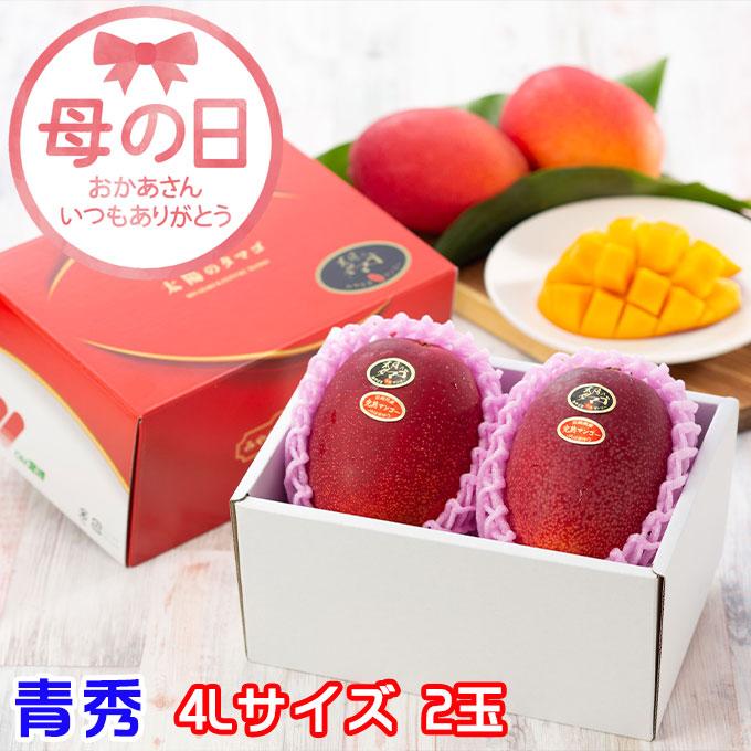 遅れてごめんね 母の日 2026 太陽のタマゴ 青秀 4L 500g以上×2玉 JA宮崎経済連 宮崎県産 完熟マンゴー 太陽のたまご ギフト プレゼント（Yahoo!・はちやフルーツ）