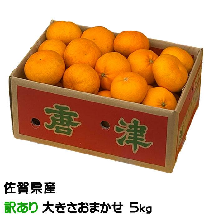 みかん ひぜんユース 風のいたずら ちょっと訳あり 大きさおまかせ 5kg