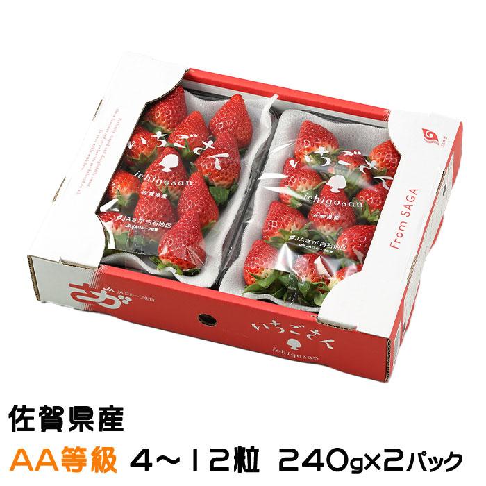いちごさん AA等級 4〜12粒 240g×2パック 佐賀県産 JA佐賀 白石 いちごさん AA等級 4〜12粒 240g×2パック 佐賀県産 JA佐賀 白石
