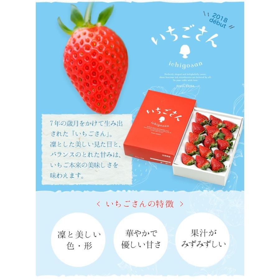 いちごさん AA等級 4〜12粒 240g×2パック 佐賀県産 JA佐賀 白石 いちごさん AA等級 4〜12粒 240g×2パック 佐賀県産 JA佐賀 白石