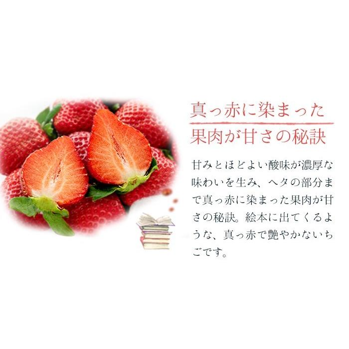 いちごさん AA等級 4〜11粒 240g×2パック 佐賀県産 JA佐賀 白石地区 苺 