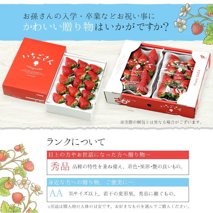 いちごさん AA等級 4〜12粒 240g×2パック 佐賀県産 JA佐賀 白石 いちごさん AA等級 4〜12粒 240g×2パック 佐賀県産 JA佐賀 白石