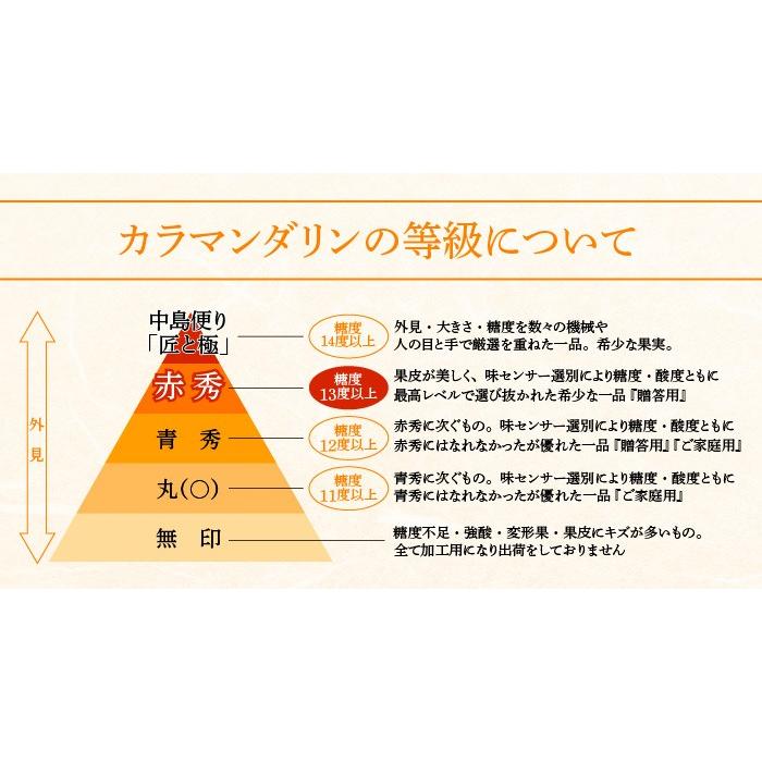 みかん 完熟春みかん カラマンダリン 赤秀 2L〜S 2.5kg みきゃん箱入り 愛媛県産 ＪＡえひめ中央 中島選果場 ミカン 蜜柑 ギフト 父の日｜hachiya-fruits｜07