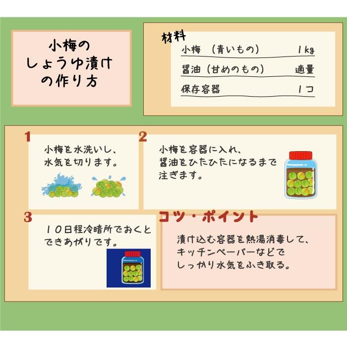 梅 紀州小梅 白王 秀品 2L〜Mサイズ 4kg ＪＡ紀南 和歌山県産 レシピ付き 梅干し用 生梅 うめ ウメ｜hachiya-fruits｜06