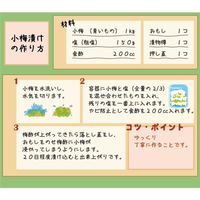 梅 紀州小梅 白王 秀品ｌサイズ 約2ｋｇ ｊａ紀南 和歌山県産 レシピ付き 送料無料 梅干し用 生梅 うめ ウメ Kk005 はちやフルーツ 通販 Yahoo ショッピング