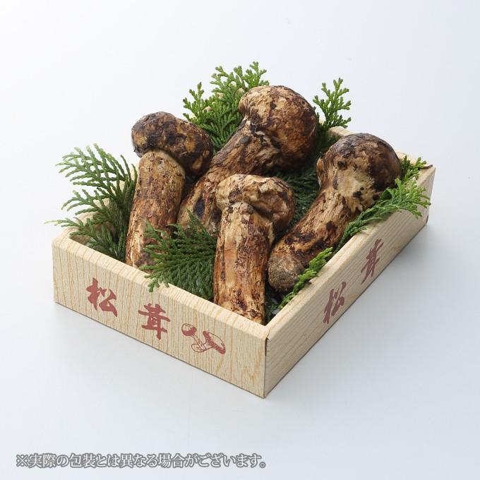 松茸　ミキちゃ 楽天市場】2026年9月以降分予約 【全額返金】国産 松茸 ひらき 約300g