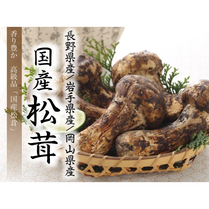 松茸　ミキちゃ 松茸 ミキちゃ様専用