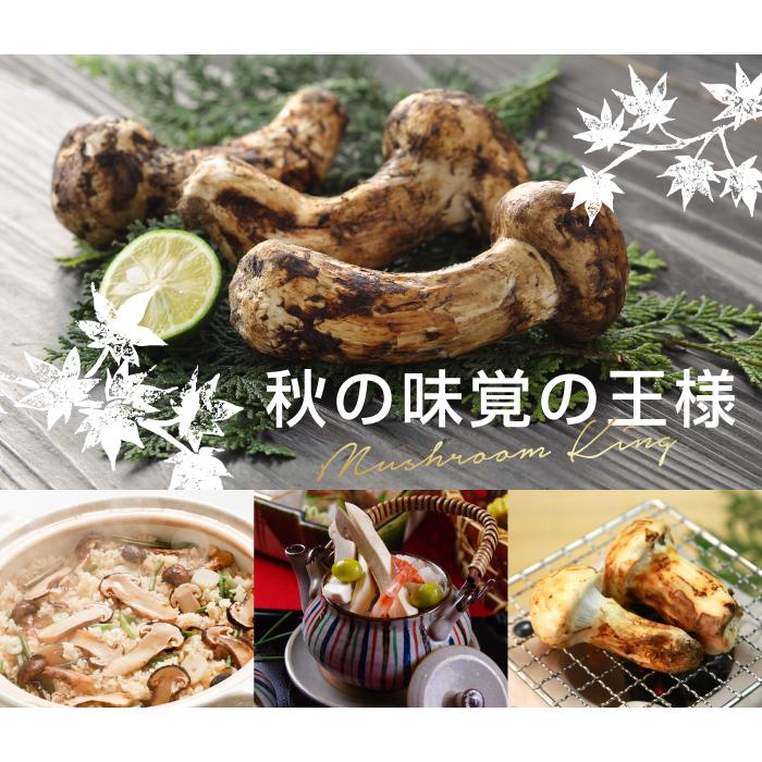 松茸　ミキちゃ 松茸 ミキちゃ様専用