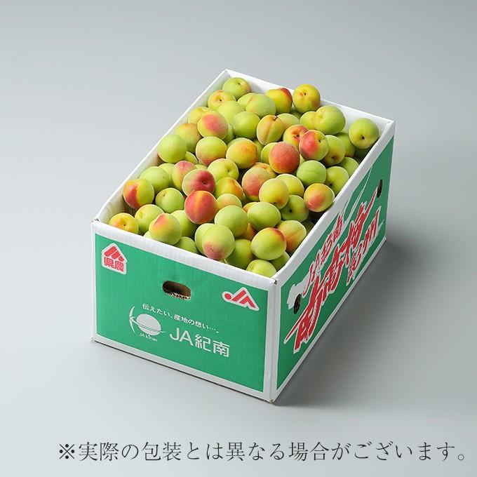 梅 南高梅 なんこう うめ 産地厳選 秀品 4Lサイズ 10kg うめ 生梅｜hachiya-fruits｜02