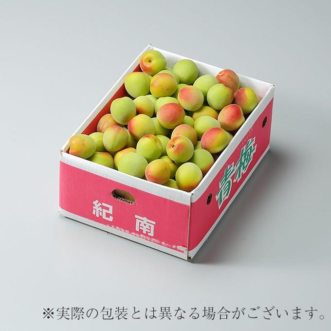 梅 南高梅 産地厳選 秀品 4Lサイズ 5kg なんこう うめ 生梅 : はちや