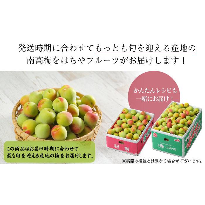 梅 南高梅 産地厳選 秀品 4Lサイズ 5kg なんこう うめ 生梅 : はちや 