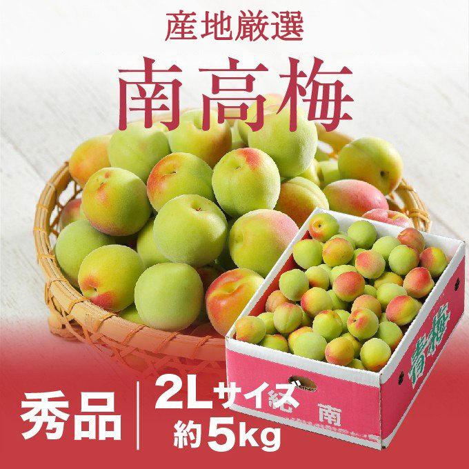 梅 南高梅 なんこう うめ 産地厳選 秀品 2Lサイズ 5kg うめ 生梅｜hachiya-fruits