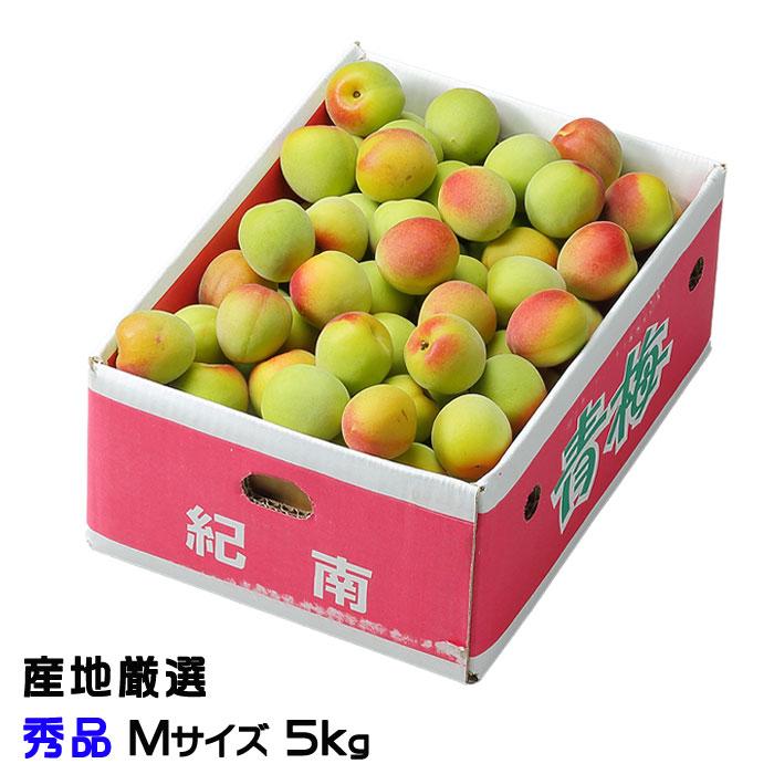 梅 南高梅 なんこう うめ 産地厳選 秀品 Mサイズ 5kg 和歌山県 徳島県産 奈良県産 岡山県産 送料無料 うめ 青梅 生梅 Knk018 はちやフルーツ 通販 Yahoo ショッピング
