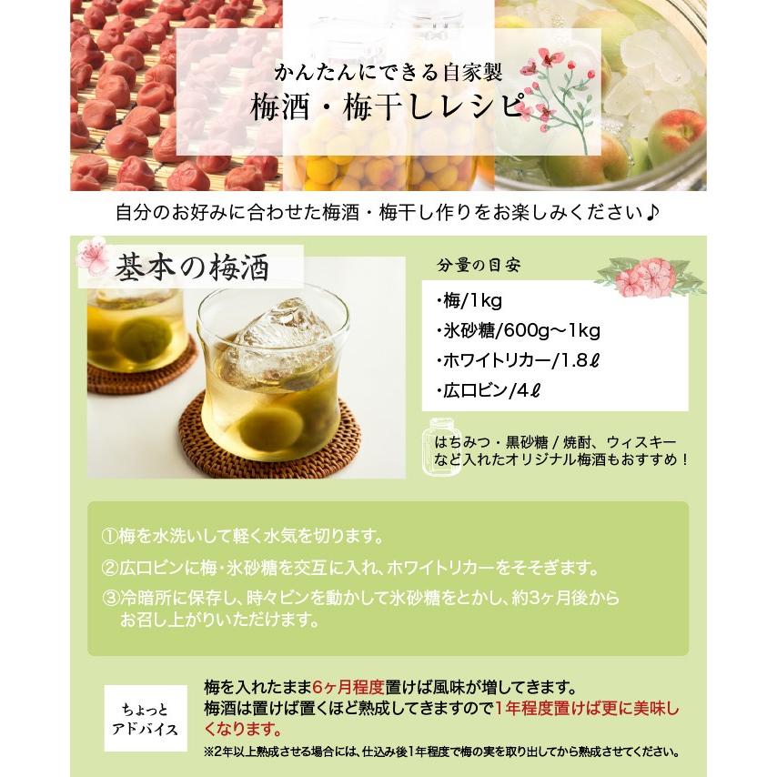 徳島県産南高梅 2Lサイズ 斑点 傷あり 10kg 徳島県産南