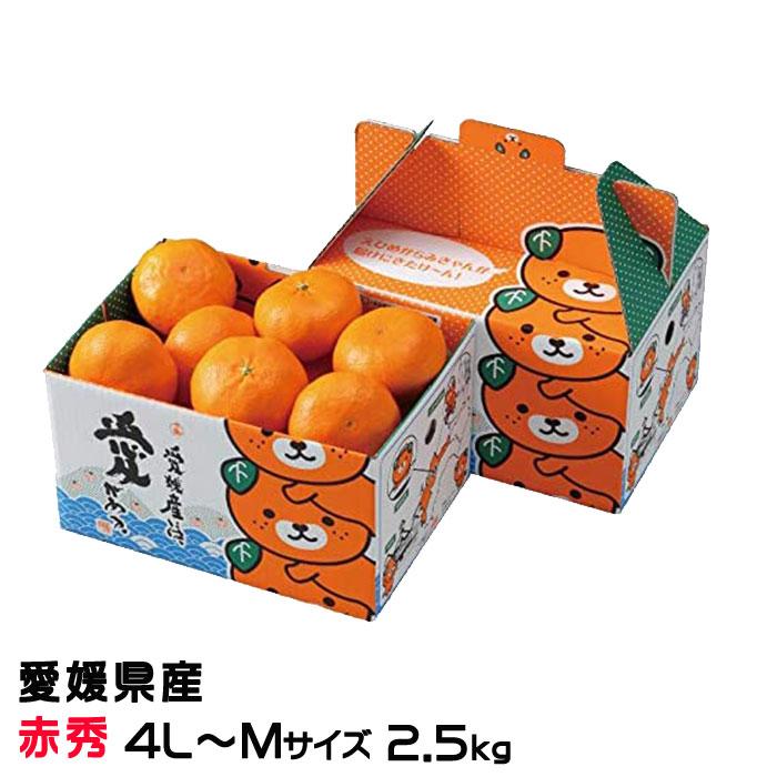 専用出品　甘平　①秀品4L 12玉、②キズあり3L 12玉入り　2点セット 愛媛県産 JAえひめ中央 甘平 赤秀品 化粧箱 4Lから2Lサイズ 約3キロ(8