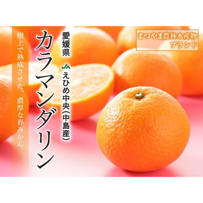 みかん 完熟春みかん カラマンダリン 青秀 2L〜S 2.5kg みきゃん箱入り 愛媛県産 ＪＡえひめ中央 中島選果場 ミカン 蜜柑 ギフト 母の日｜hachiya-fruits｜02