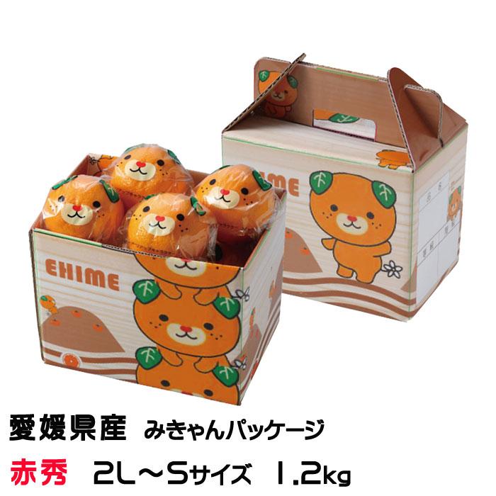 みかん 完熟春みかん カラマンダリン みきゃんパッケージ 赤秀 2L〜S