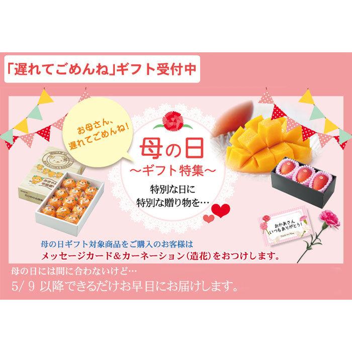 遅れてごめんね 母の日ギフト みかん 完熟春みかん カラマンダリン みきゃんパッケージ 赤秀 2l S 1 2kg 8 15玉入り 愛媛県産 ｊａえひめ中央 中島選果場 Mdkara005 はちやフルーツ 通販 Yahoo ショッピング