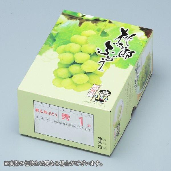 ぶどう 桃太郎ぶどう 赤秀 500g×2房 岡山県産 香川県産 夏ギフト 葡萄 ブドウ :mmt060:はちやフルーツ - 通販 - Yahoo!ショッピング ぶどう 桃太郎ぶどう 赤秀 500g×2房 岡山県産 香川県産 夏ギフト 葡萄 ブドウ :mmt060:はちやフルーツ - 通販 - Yahoo!ショッピング
