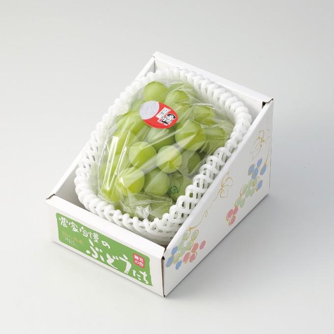 ぶどう 桃太郎ぶどう 青秀 800g×1房 岡山県産 香川県産 桃太郎ぶどう生産組合 夏ギフト 葡萄 ブドウ :mmtao03:はちやフルーツ - 通販 - Yahoo!ショッピング ぶどう 桃太郎ぶどう 青秀 800g×1房 岡山県産 香川県産 桃太郎ぶどう生産組合 夏ギフト 葡萄 ブドウ :mmtao03:はちやフルーツ - 通販 - Yahoo!ショッピング