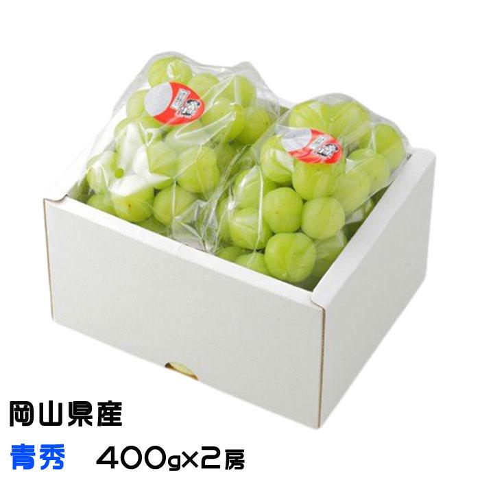 ぶどう 桃太郎ぶどう 青秀 400g×2房 岡山県産 香川県産 桃太郎ぶどう生産組合 夏ギフト 葡萄 ブドウ :mmtao07:はちやフルーツ - 通販 - Yahoo!ショッピング ぶどう 桃太郎ぶどう 青秀 400g×2房 岡山県産 香川県産 桃太郎ぶどう生産組合 夏ギフト 葡萄 ブドウ :mmtao07:はちやフルーツ - 通販 - Yahoo!ショッピング