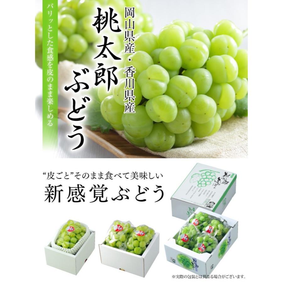 ぶどう 桃太郎ぶどう 青秀 400g×2房 岡山県産 香川県産 桃太郎ぶどう生産組合 夏ギフト 葡萄 ブドウ|hachiya-fruits|03