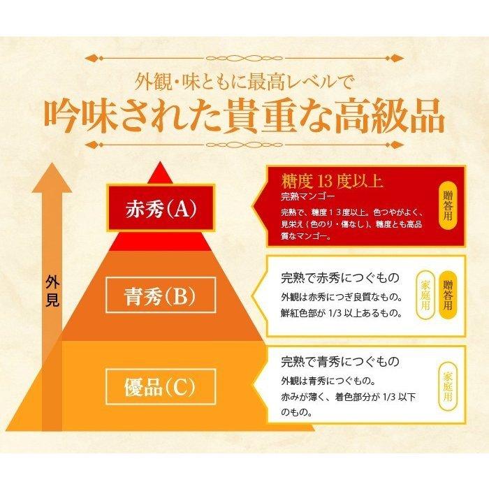 マンゴー みやざき完熟マンゴー 優品 4Lサイズ 510g以上×2玉 宮崎県産 ギフト お取り寄せグルメ 父の日｜hachiya-fruits｜06