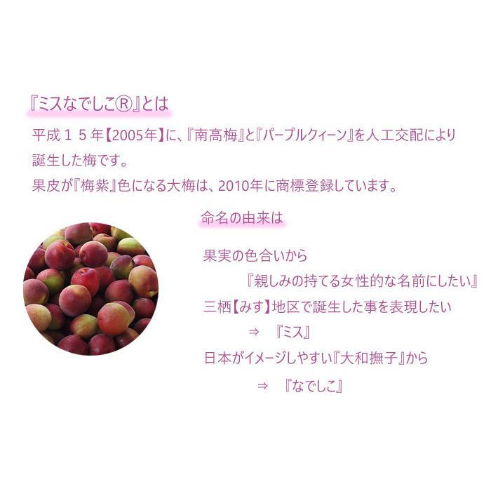 国内正規品 梅 ミスなでしこ 秀品 大きさおまかせ 1kg 和歌山県産 ｊａ紀南 うめ Whitesforracialequity Org