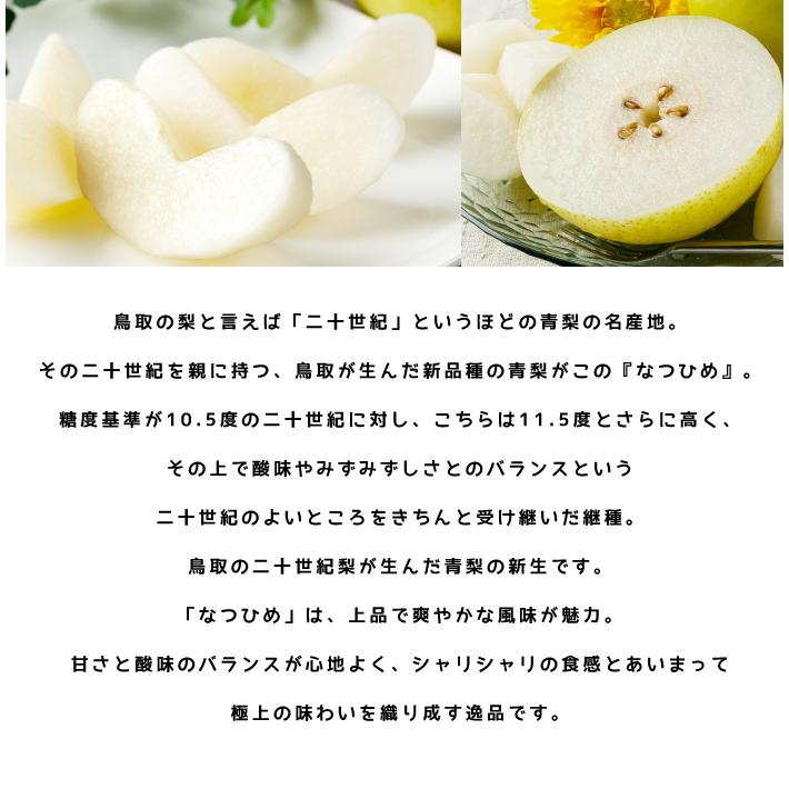 梨 なつひめ 風のいたずら ちょっと訳あり 約2kg 鳥取県産 ｊａ鳥取中央 なし ナシ Nh05 はちやフルーツ 通販 Yahoo ショッピング