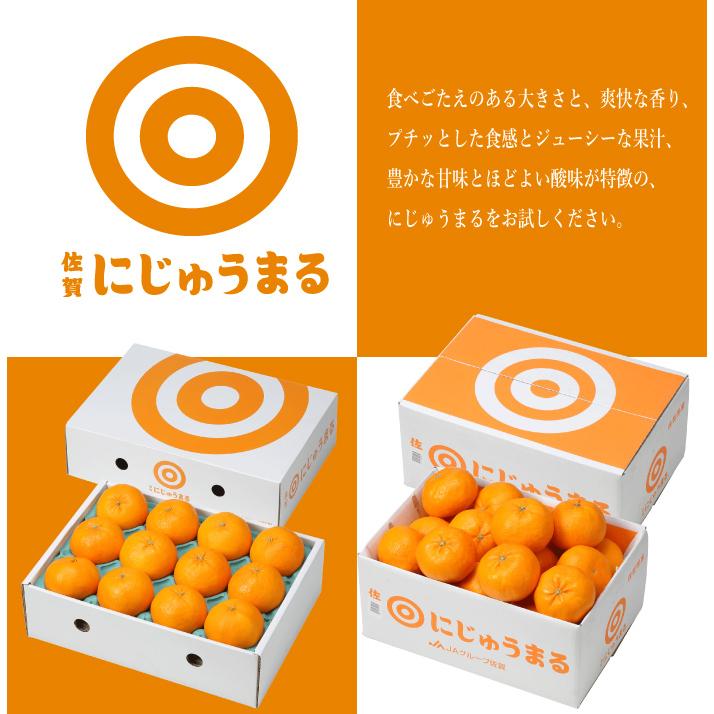 みかん にじゅうまる 優品 5L〜Lサイズ 5kg JAグループ佐賀 ギフト