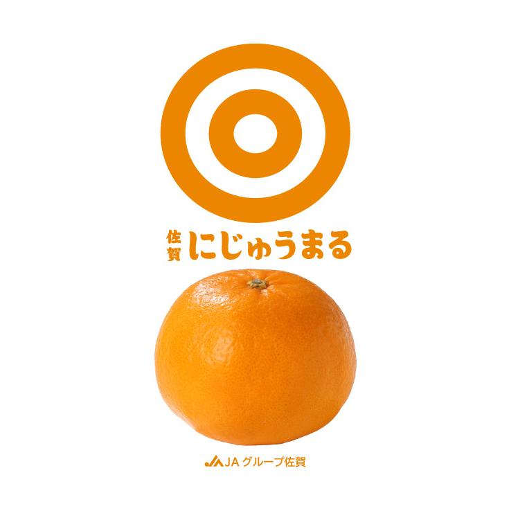 みかん にじゅうまる 良品 5L〜Lサイズ 5kg JAグループ佐賀 ギフト｜hachiya-fruits｜02