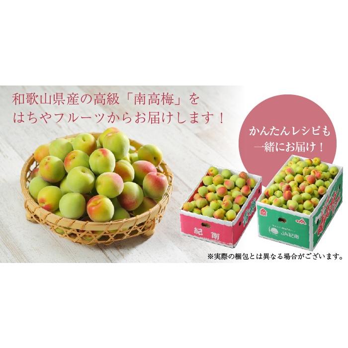 梅 紀州 南高梅 和歌山県産 秀品 4Lサイズ 10kg うめ 生梅｜hachiya-fruits｜09