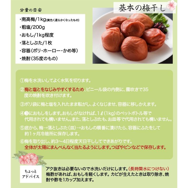 梅 紀州 南高梅 和歌山県産 秀品 Lサイズ 10kg うめ 生梅｜hachiya-fruits｜06