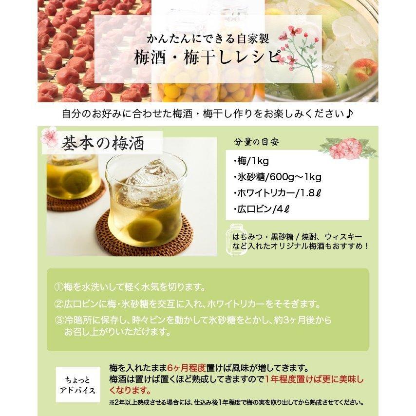 梅 紀州 南高梅 和歌山県産 秀品 4Lサイズ 3kg うめ 生梅｜hachiya-fruits｜06