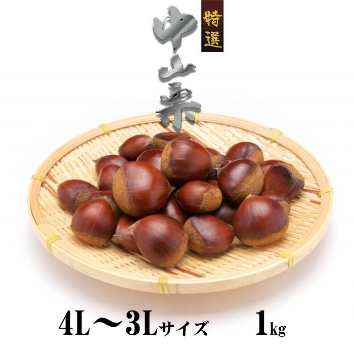 【訳あり品】4L生栗　7キロ以上 栗 中山栗 生栗 4L〜3Lサイズ 1kg 愛媛県産 JAえひめ中央 くり クリ