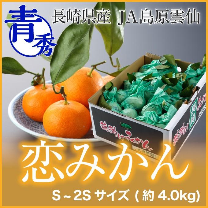みかん 恋みかん 越冬完熟 袋掛けみかん 青秀 S 2sサイズ 4kg 長崎県産 Ja島原雲仙 送料無料 蜜柑 ミカン Nkm002 はちやフルーツ 通販 Yahoo ショッピング
