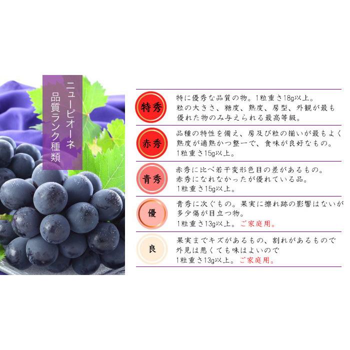 葡萄の呟き 『ぶどうのつぶやき』 葡萄の呟き 『ぶどうのつぶやき』 ぶどうの丘オンラインショップ