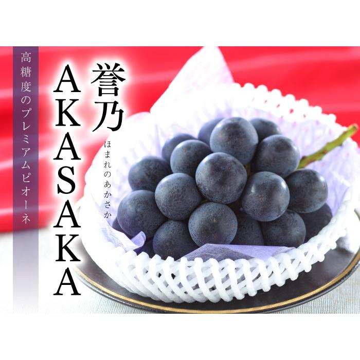 <セール&特集> お中元 ぶどう プレミアムニューピオーネ 誉乃AKASAKA 700g×1房 ほまれのあかさか JA岡山東 赤坂産 葡萄 ブドウ 新潟精機 SK 日本製 鋼ピンゲージ 単品バラ シャンク付 ゲージ長30mm AG 1.35mm