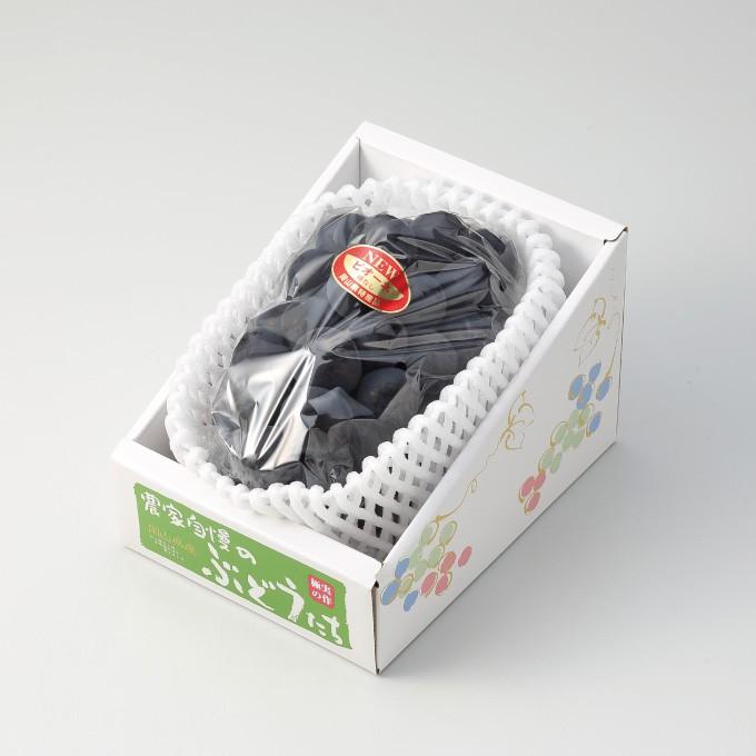 ぶどう ニューピオーネ 青秀 700g&times;1房 岡山県産 ＪＡおかやま 葡萄 ブドウ