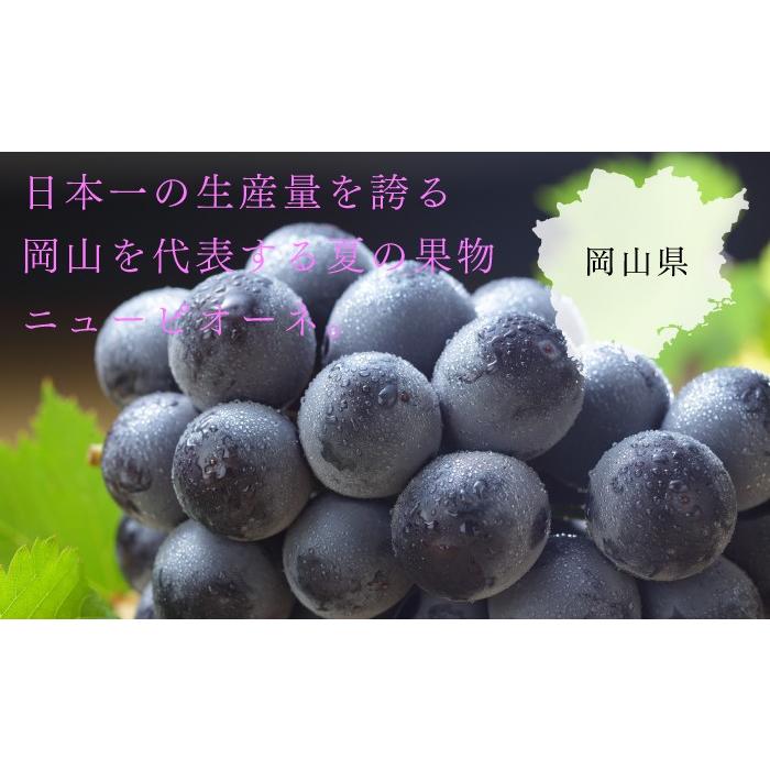経典ブランド お中元 ぶどう ニューピオーネ 葡萄 700g×1房 JAおかやま 岡山県産 青秀 ブドウ ぶどう ぶどう ニューピオーネ 風のいたずら ちょっと訳あり 3〜6房 1.5kg 岡山県産 JAおかやま 葡萄 ブドウ