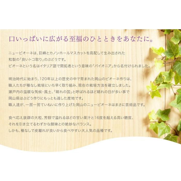 ぶどう ニューピオーネ 青秀 700g&times;1房 岡山県産 ＪＡおかやま 葡萄 ブドウ