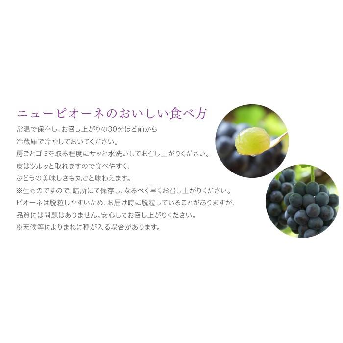 ぶどう ニューピオーネ 青秀 700g&times;1房 岡山県産 ＪＡおかやま 葡萄 ブドウ