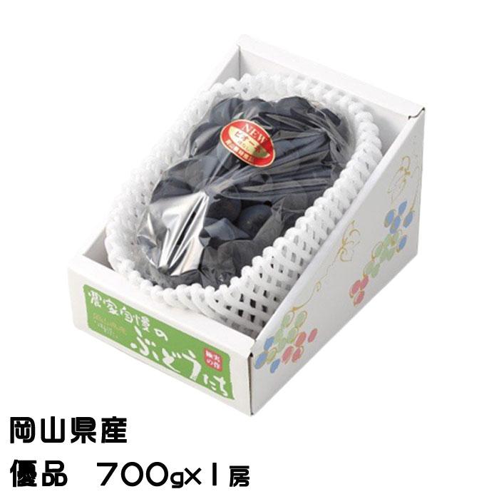 ぶどう ニューピオーネ 優品 700g×1房 岡山県産 JAおかやま